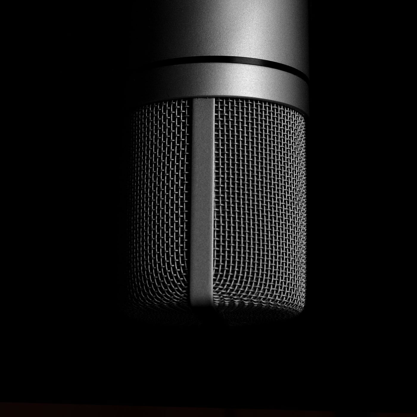 A detailed close-up of a professional studio microphone with a pop filter.